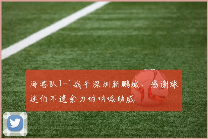 海港队1-1战平深圳新鹏城，感谢球迷们不遗余力的呐喊助威